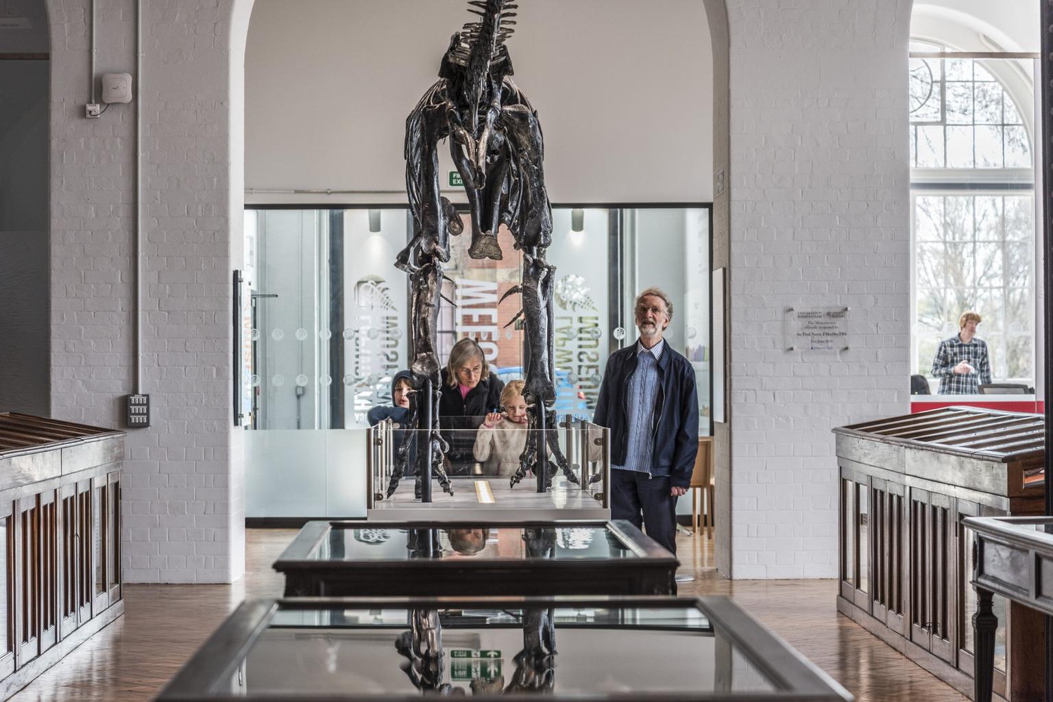 A man woman and two small children look into a museum case, with a dinosaur skeleton in front