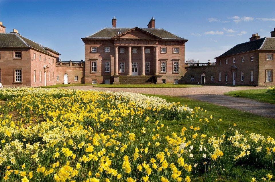 A grand house with daffodils in the foreground