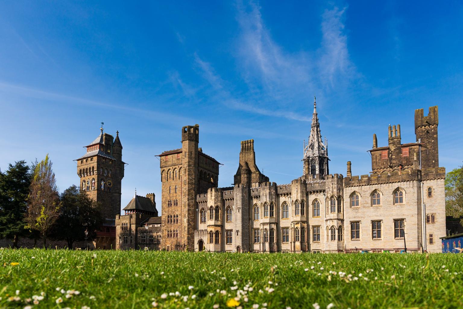 An ornate castle fronted by a daisy strewn lawn