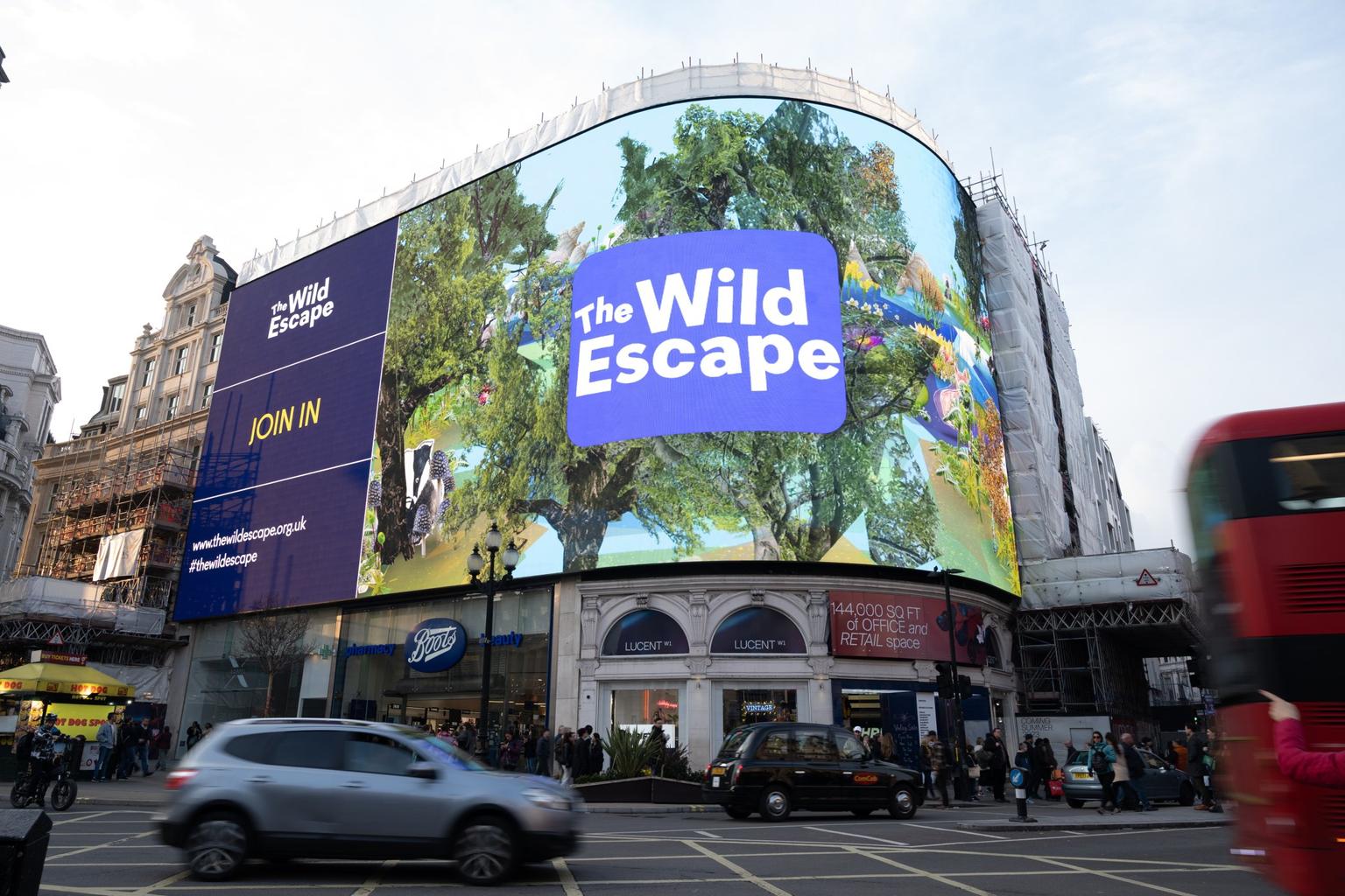 Photo of The Wild Escape artwork showing on Piccadilly Lights big screen in London