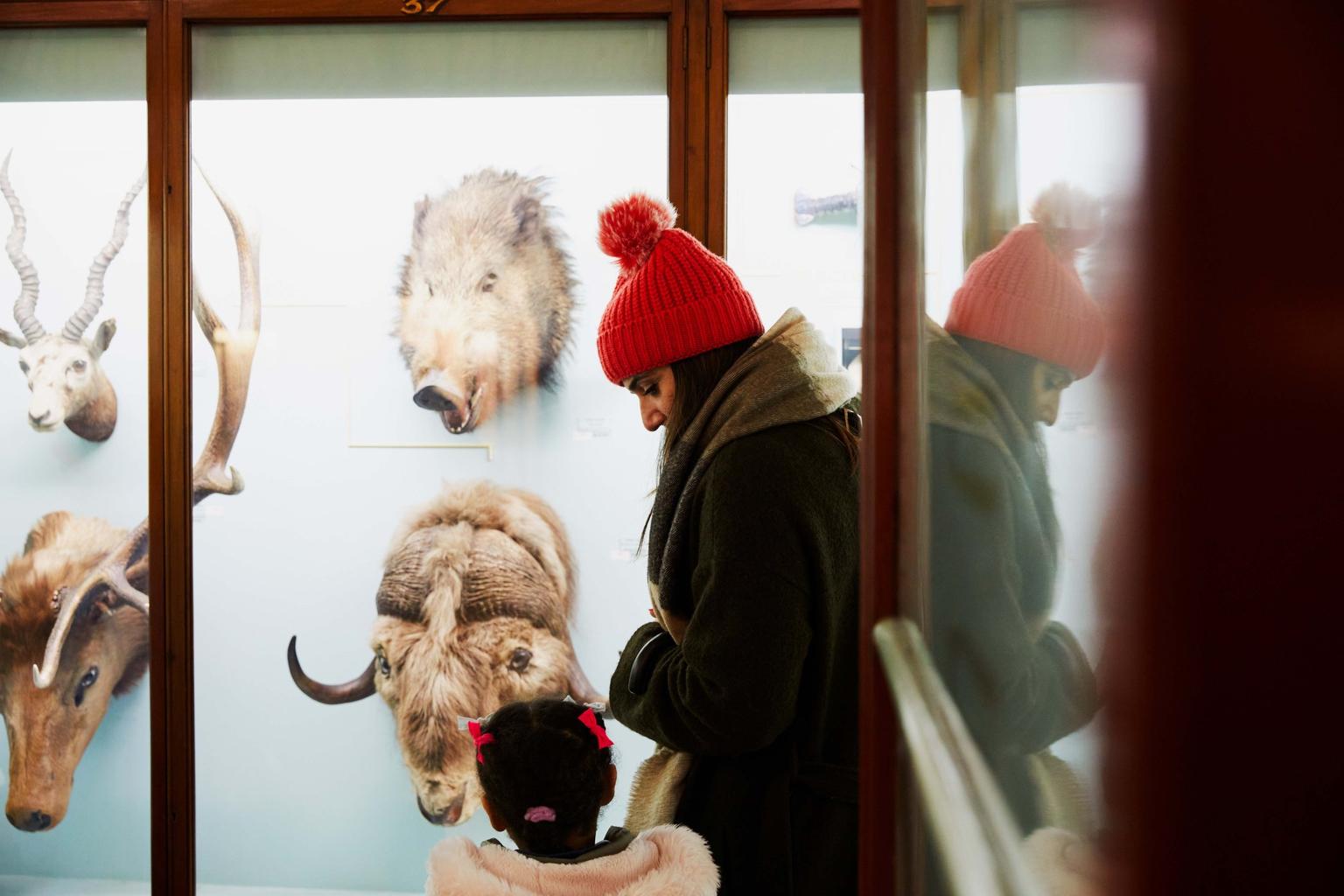 A woman with a small girl looking into a museum case of taxidermy animals