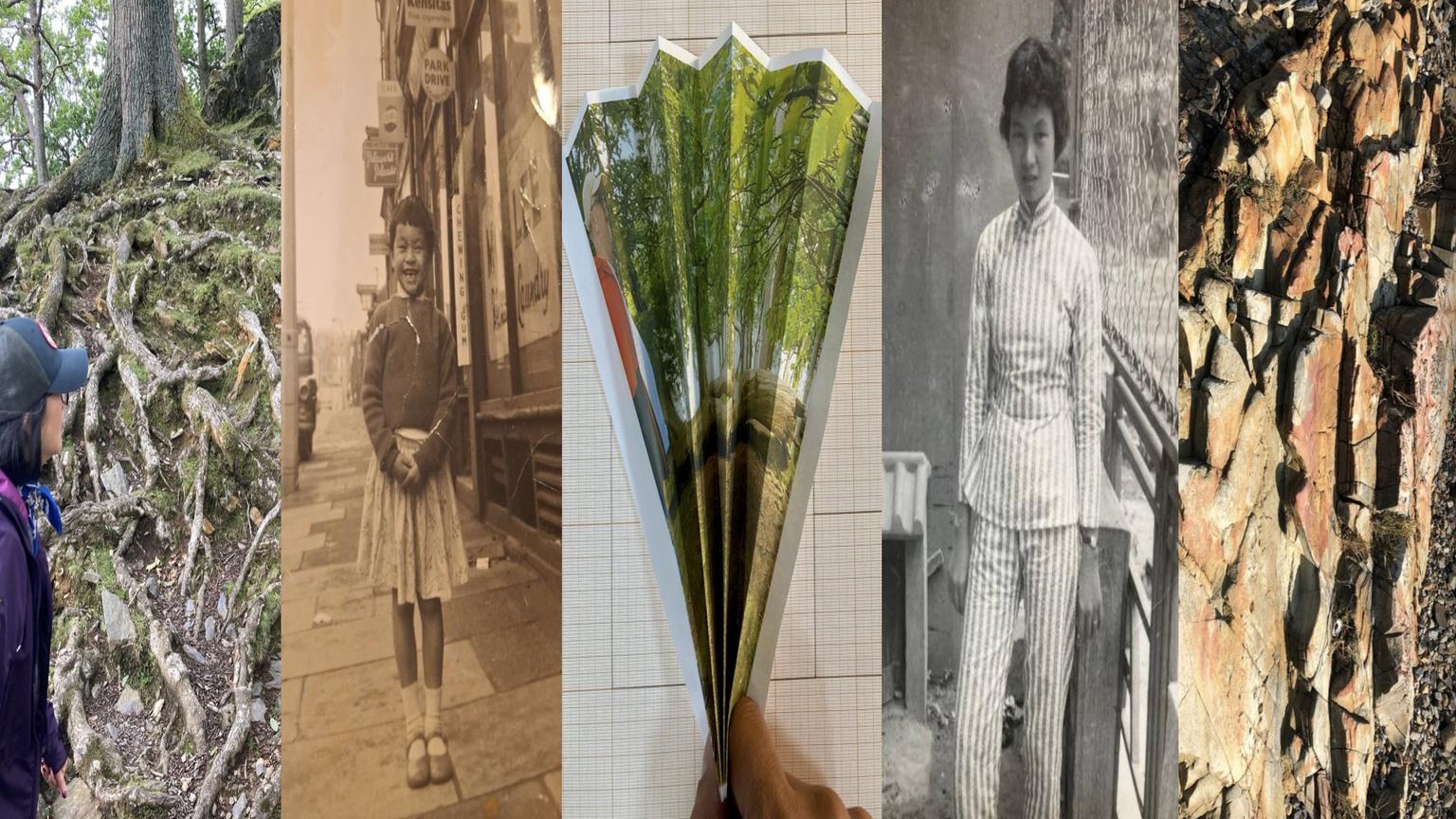 A vertical five-panel collage contrasts a person peering at mossy tree roots with vintage portraits, a hand holding a green-reflective folded image, and a textured rock face.