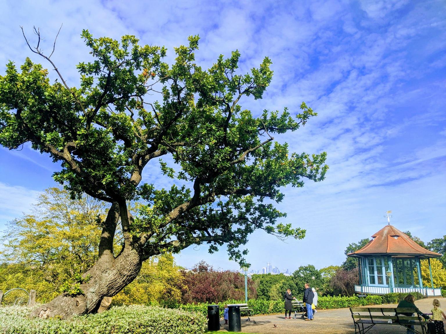 A large oak tree leans to the right, next to a path with benches where families are walking and sitting. London's skyline is in the distance.
