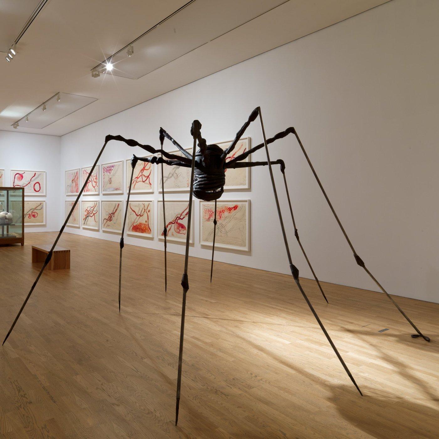 ARTIST ROOMS - Louise Bourgeois