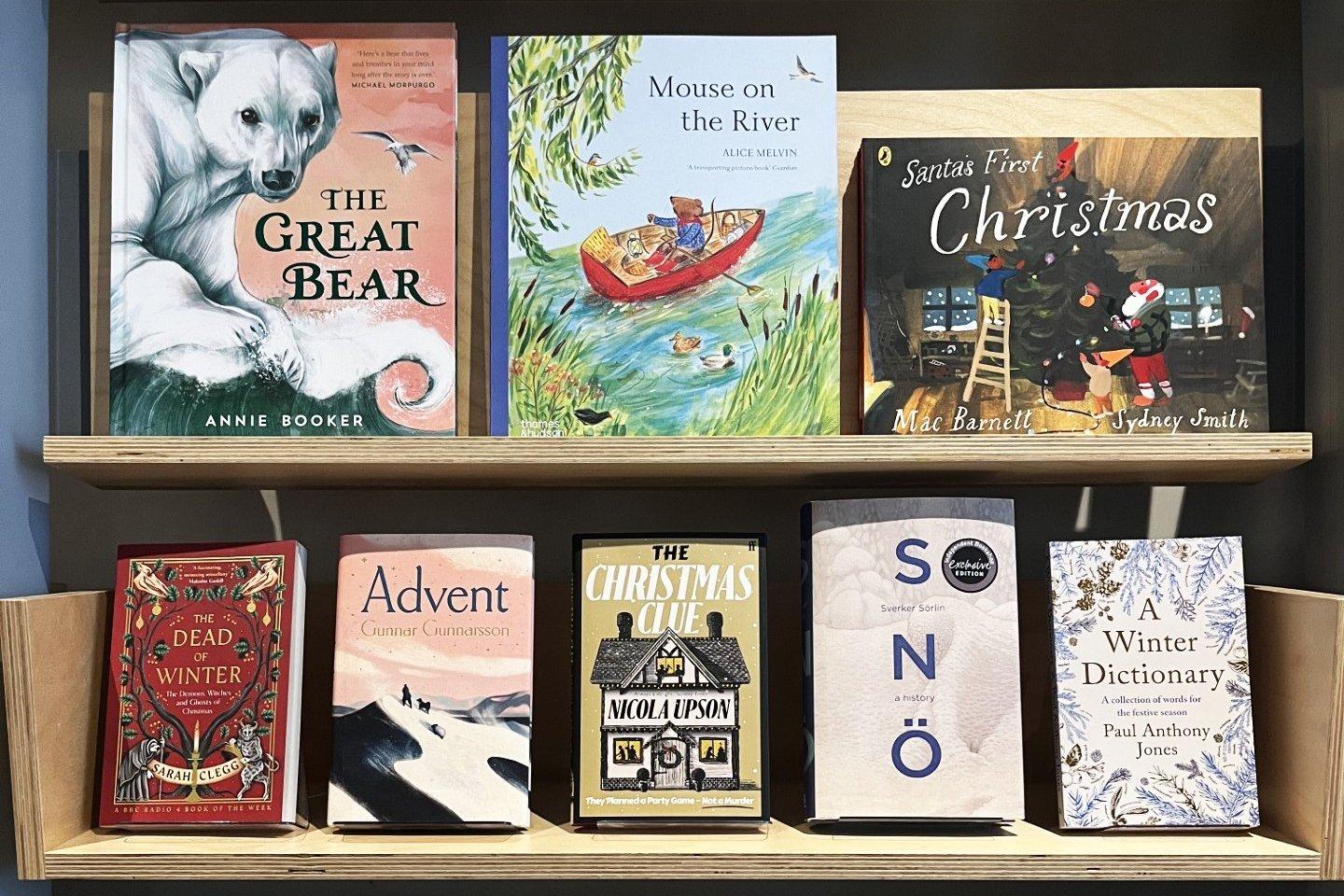 Art bookshop display featuring books about Christmas and winter.