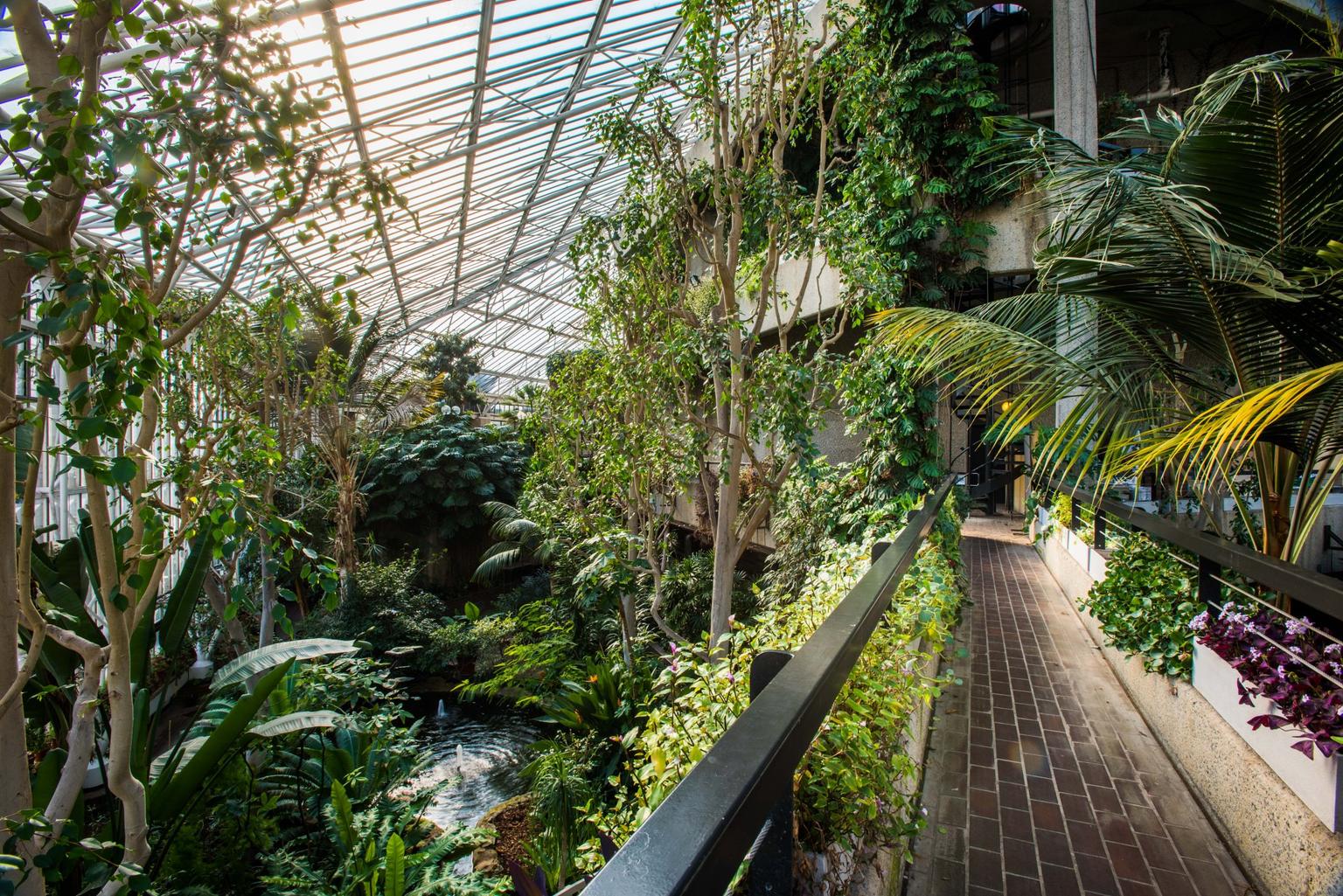 A walkway within the tropical conservatory at Barbican