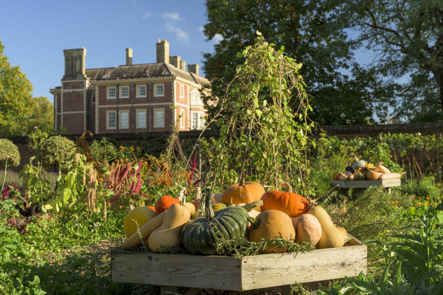 A wooden crate of assorted orange, green, and yellow pumpkins and squashes sits in a sunlit garden with Ham House in the background.