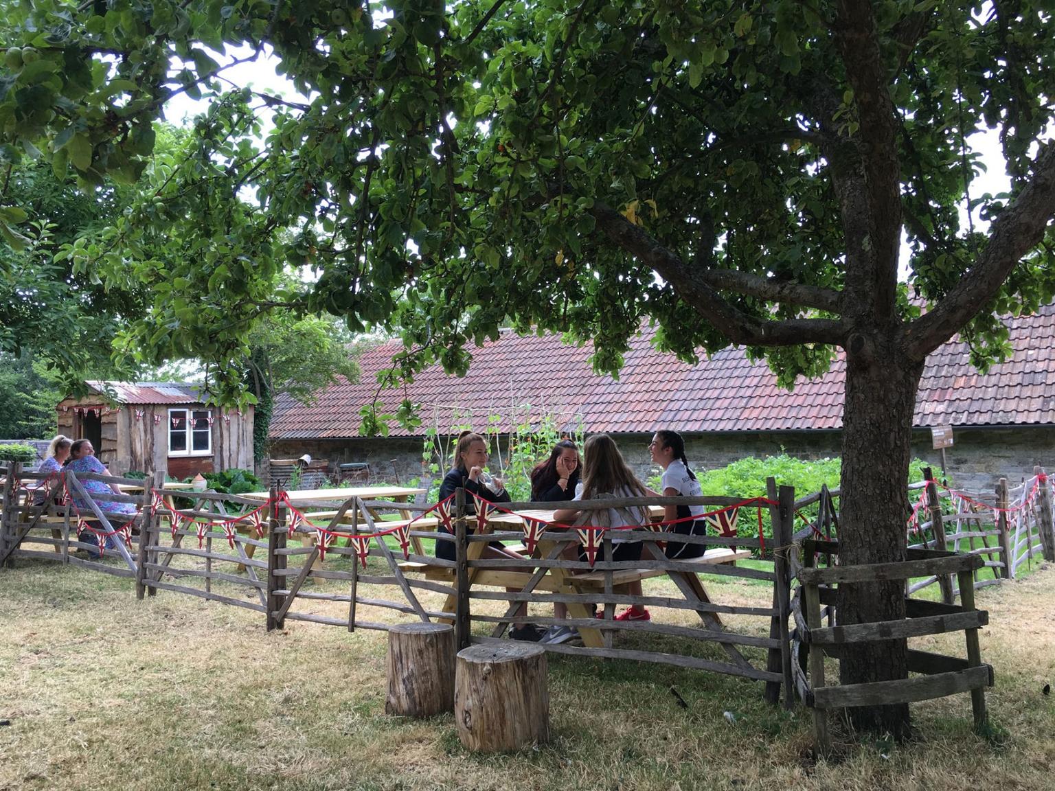 A picnic area under trees, with a wooden fence and union jack bunting