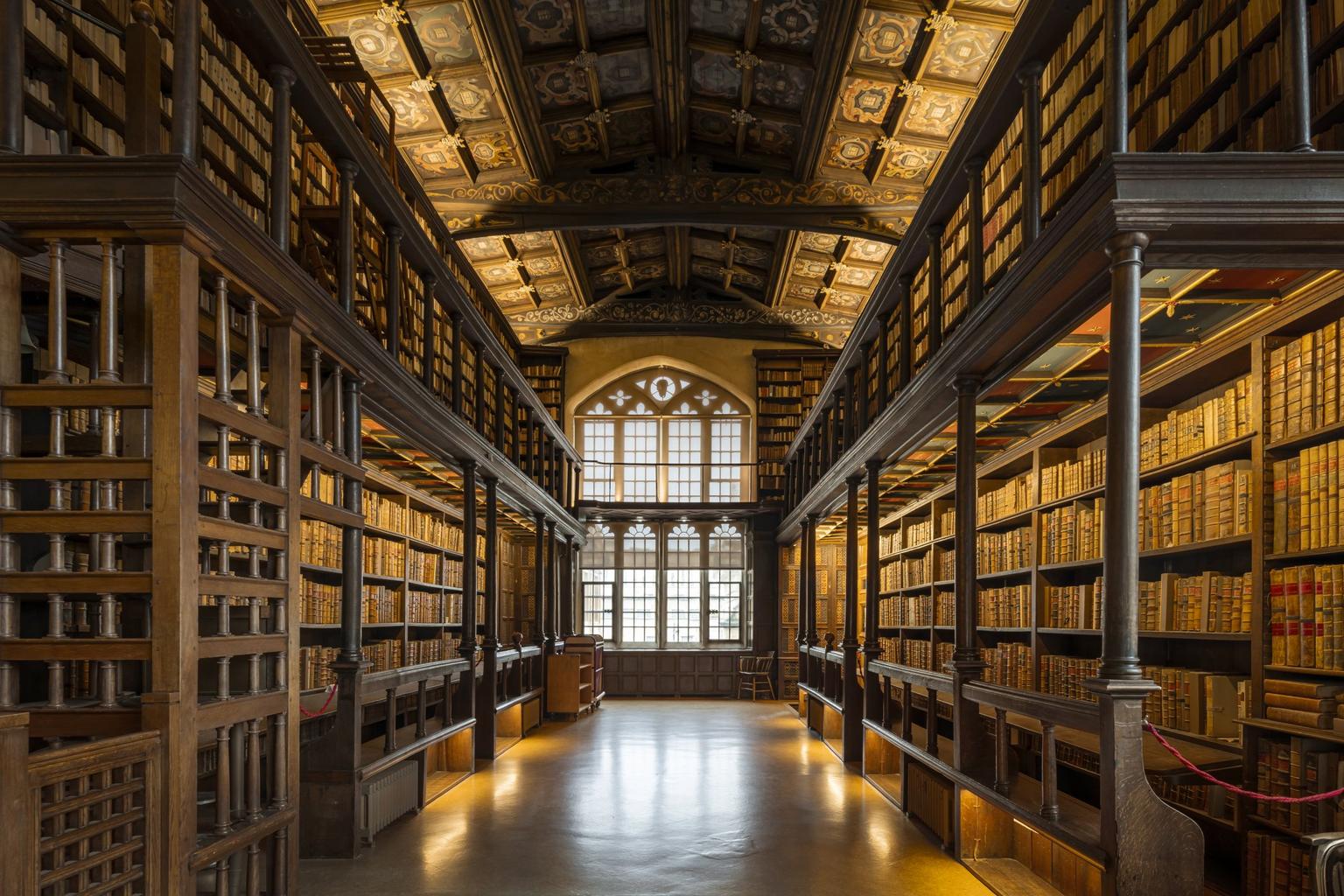 Ornate library shelves beneath a decorated ceiling