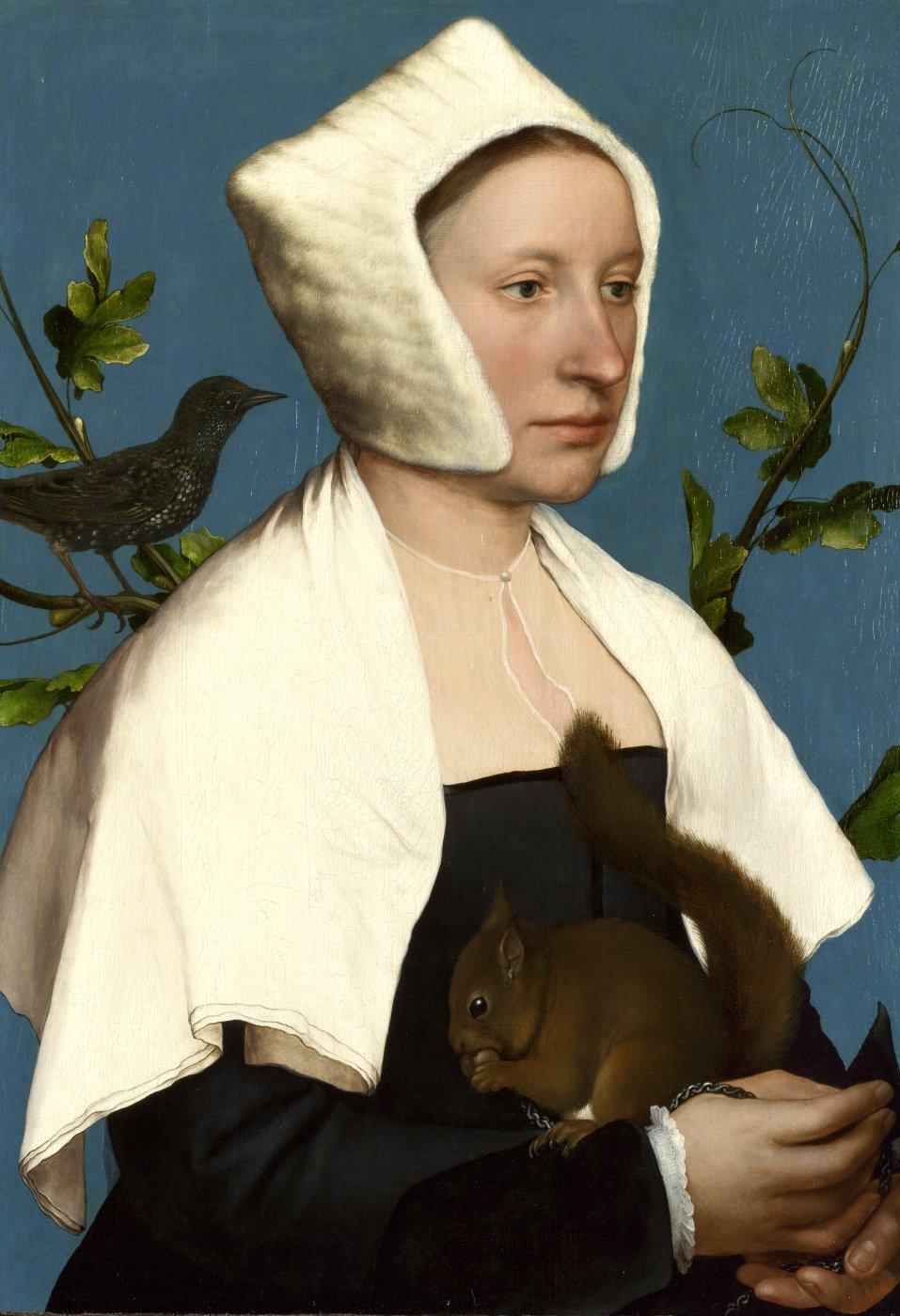 This painting is a perfect illustration of Holbein's success in portraying women in their imperfection: with tremendous sympathy, but without the idealising abstraction which renders so many portraits of women from all periods of history as ciphers of contemporary fashion and beauty, and thus as much less interesting and individual than their male counterparts. The lady wears a white cape and hat; she is holding the brown squirrel, and the starling is on a branch at her shoulder. One of the most striking characteristics of the Lady is her reticence, allied to stillness. This work was acquired with assistance from the Wolfson Foundation.