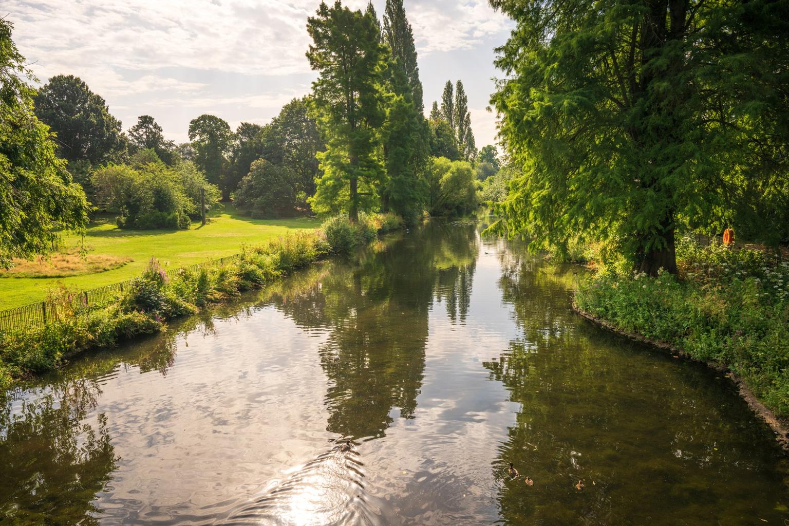 A wide, sunlit river, flanked by lawns and trees