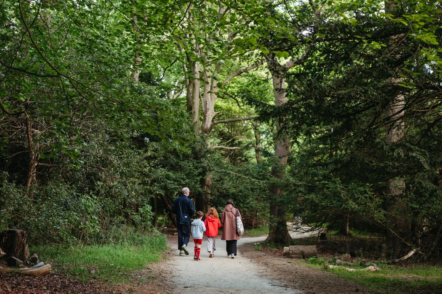 A family, comprising of two adults and two children, walk on a woodland path.