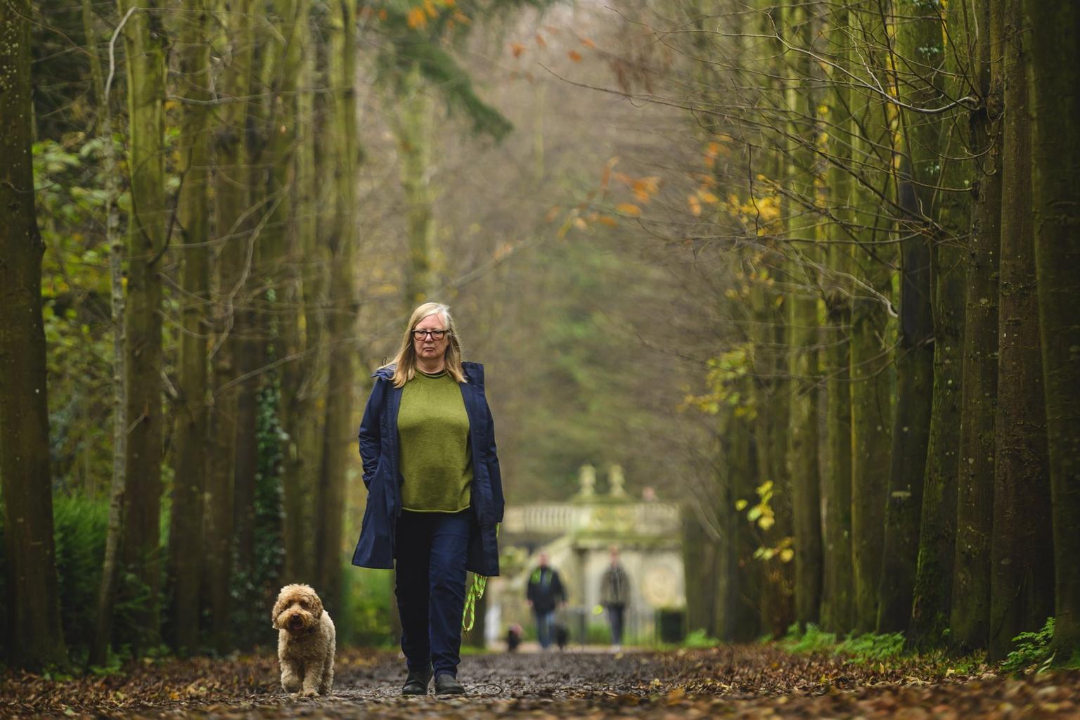 A woman walking her dog along an avenue of trees