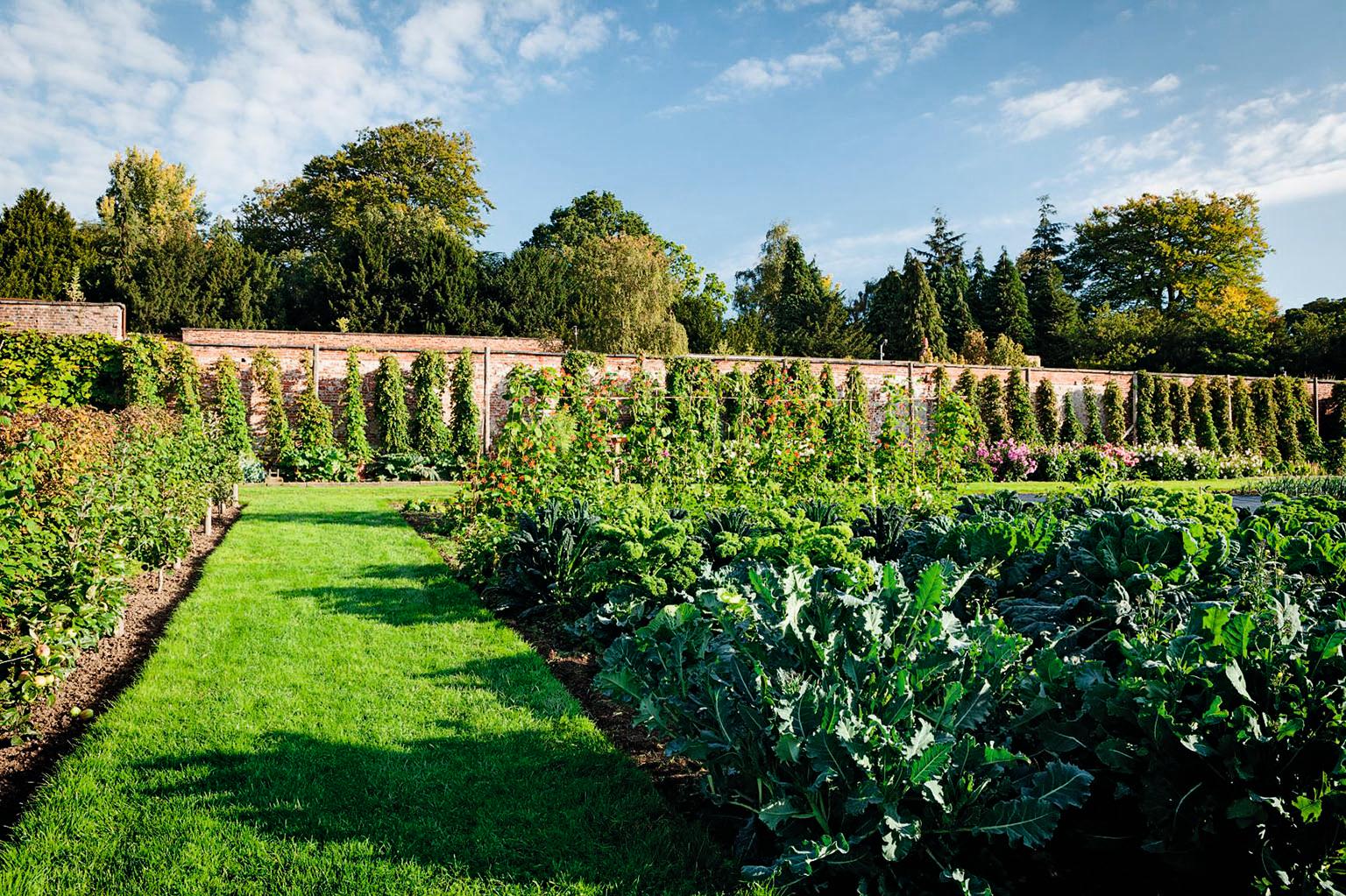The kitchen garden at Harewood House