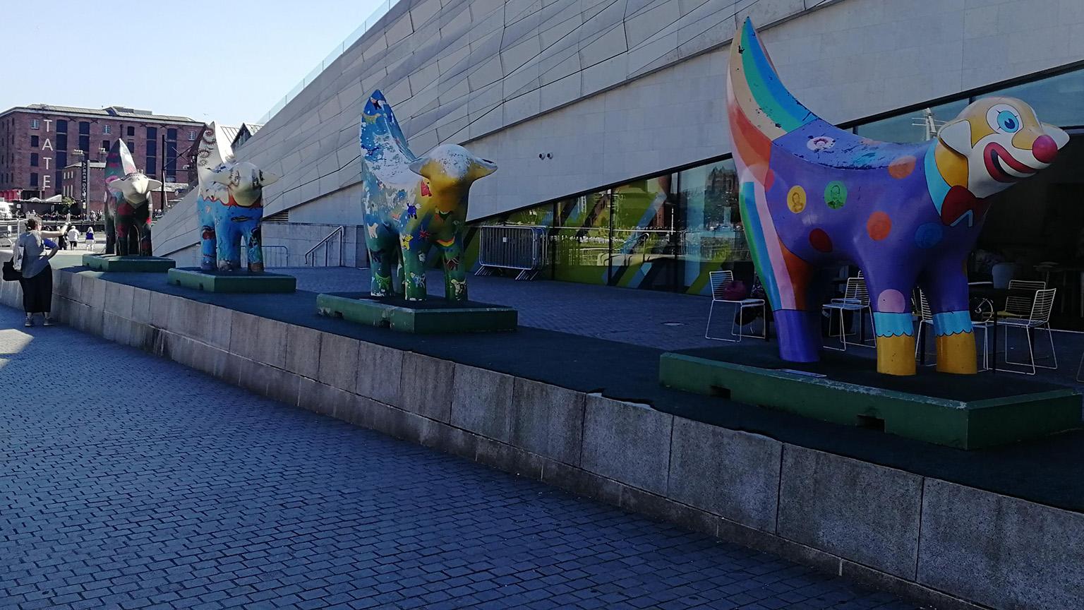 Superlambananas on the walk to Tate Liverpool